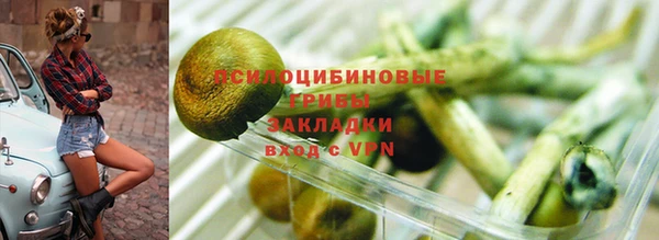 экстази Арсеньев