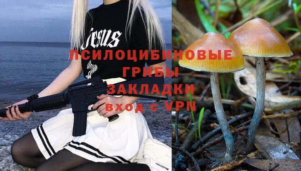 экстази Арсеньев