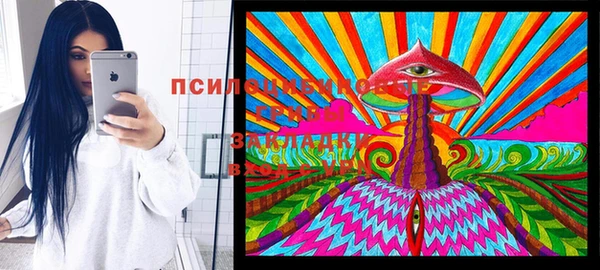 экстази Арсеньев