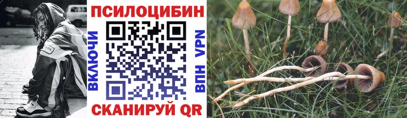 цена   Бикин  Псилоцибиновые грибы MAGIC MUSHROOMS 